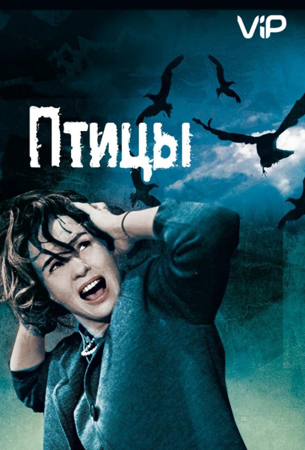 Фильм Птицы 1963 года смотреть онлайн с актёрами Этель Гриффиз и Джессика Тэнди